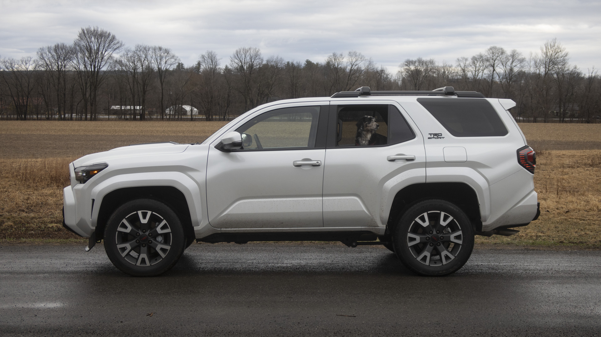 2025 TOYOTA 4RUNNER LIMEIRO PERFILO SHOUETTE Vista.