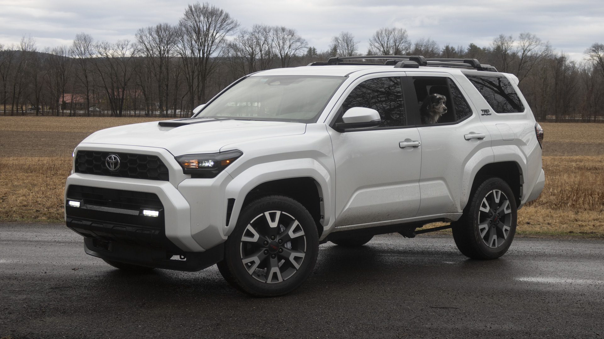 2025 Toyota 4Runner TRD Sport, Branco, Vista de três quartos da frente