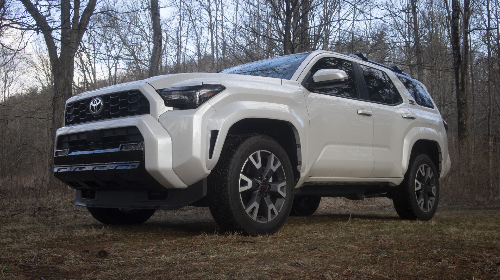 2025 Toyota 4Runner TRD Sport Sport Sond Pround in the Woods.
