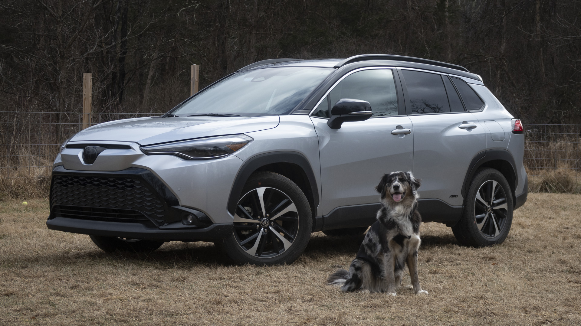 2025 Toyota Corolla Cross: The Drive Dog Review