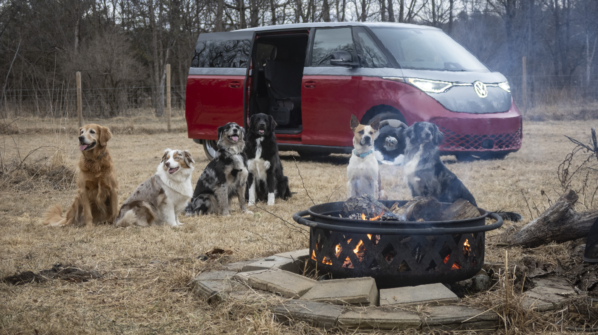 Nós empacotamos seis cães em um buzz de 2025 Volkswagen e todo mundo adorou